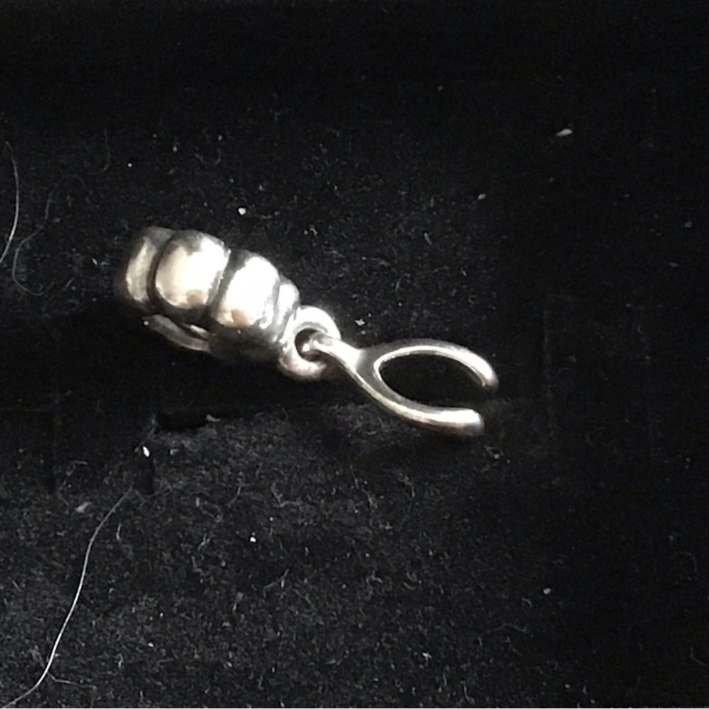Pandora wishbone rare charm